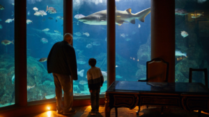 semana museos coruña