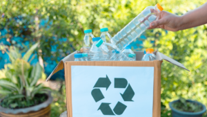 coruna talleres cursos medioambiente reciclaje mascotas