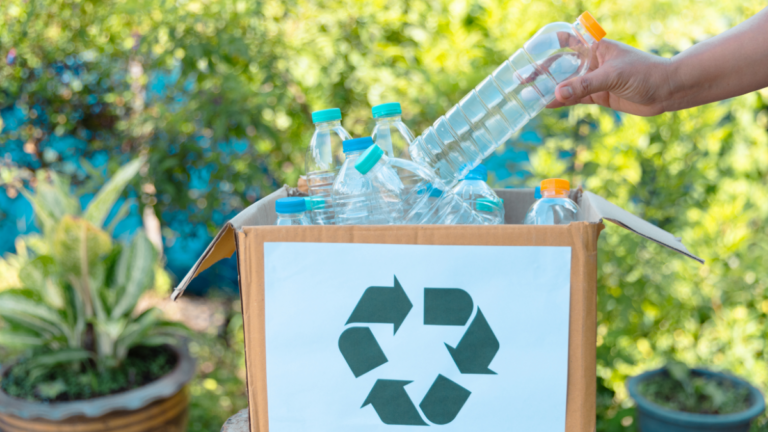 coruna talleres cursos medioambiente reciclaje mascotas