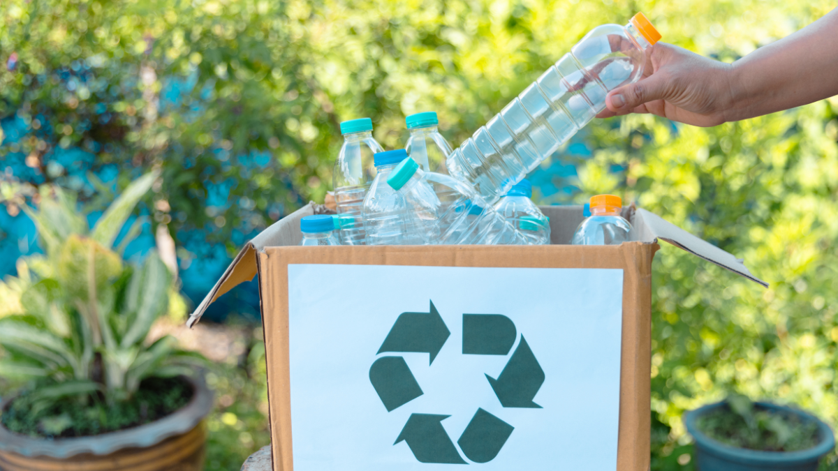 coruna talleres cursos medioambiente reciclaje mascotas