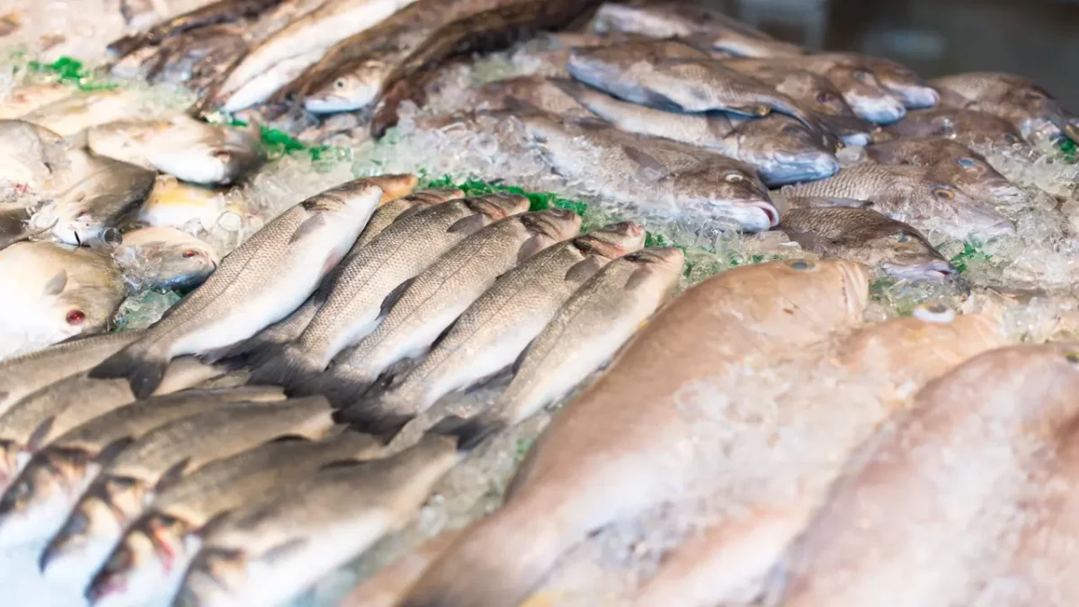El Bono Peixe estará disponible desde el 28 de julio con 50 euros por beneficiario