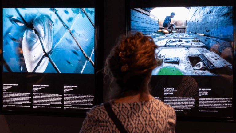exposición fotografía aquarium coruña