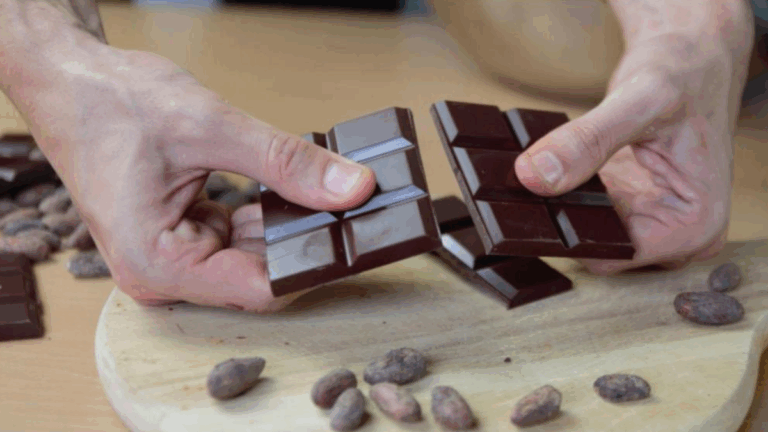 cata de chocolates essenzo cacao
