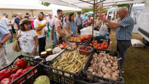 Feria Agrícola de Sedes