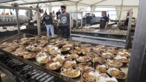 Festa do Marisco de Barallobre