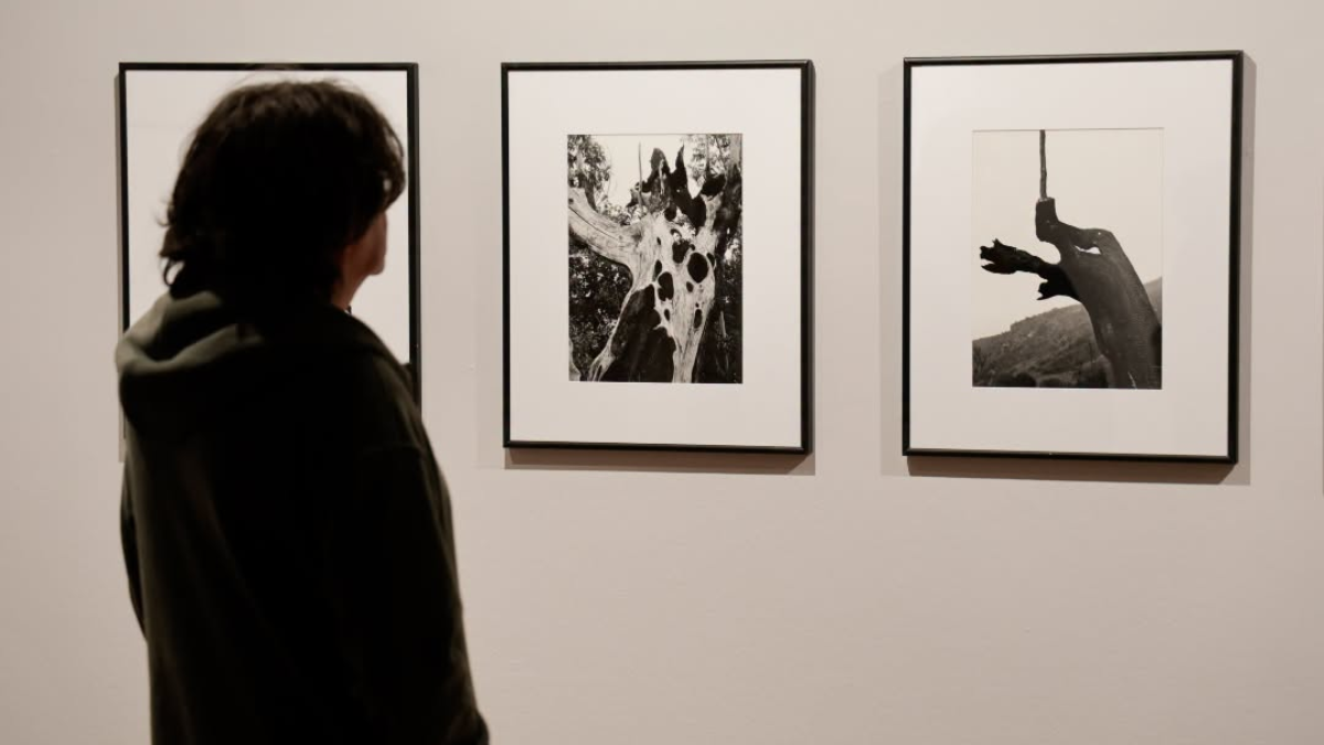 Paisajes, retratos y memoria gallega en la exposición retrospectiva de Federico García-Cabezón